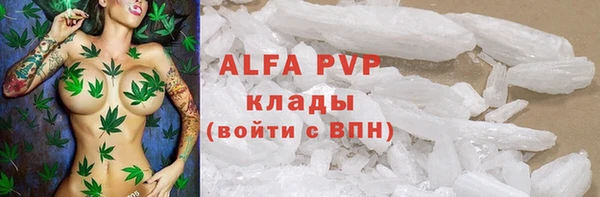 mdpv Богданович